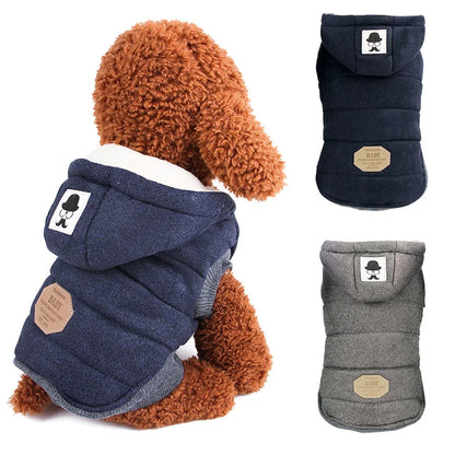 Manteau chaud en coton pour chien