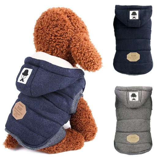 Manteau chaud en coton pour chien