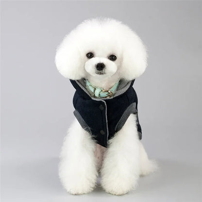 Manteau chaud en coton pour chien