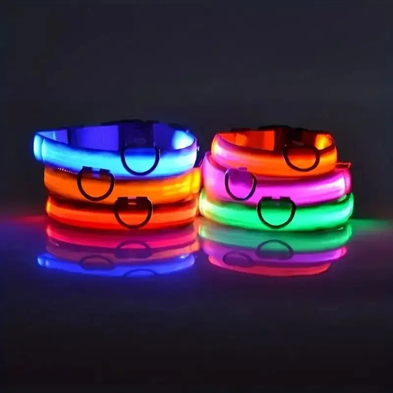 Collier lumineux pour chien