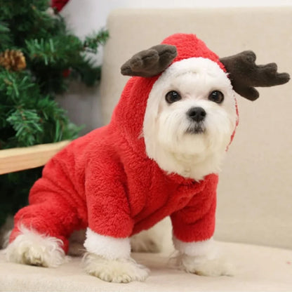 Vêtements de Noël pour chiens