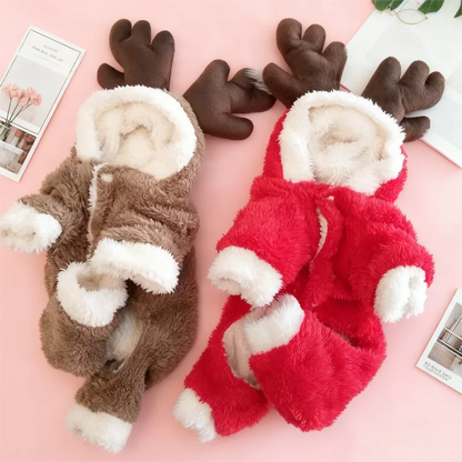 Vêtements de Noël pour chiens