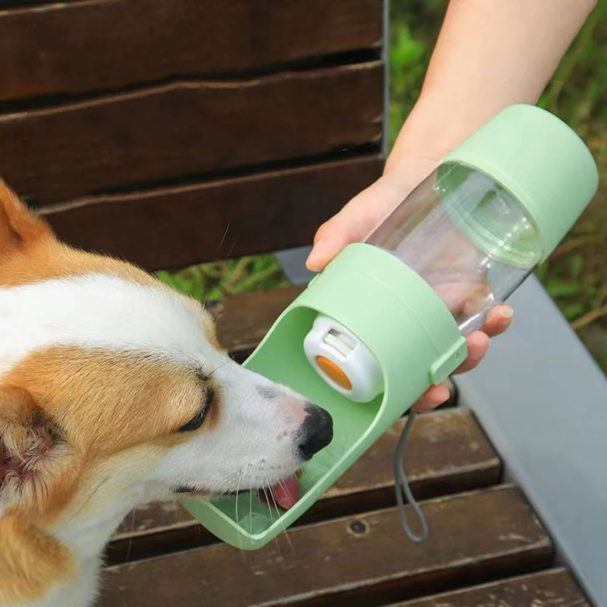 Bouteille d'eau Portable pour chien et chat