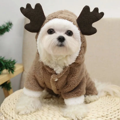 Vêtements de Noël pour chiens