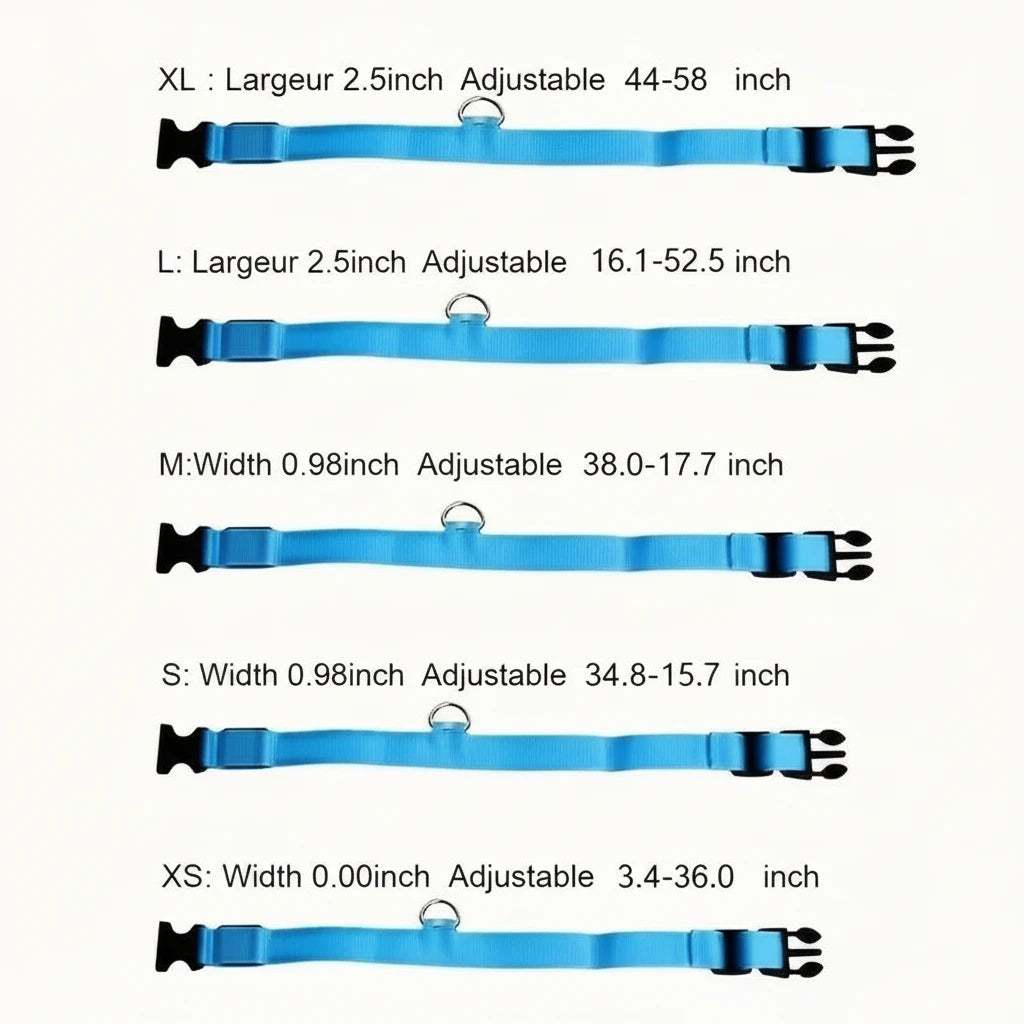 Collier lumineux pour chien