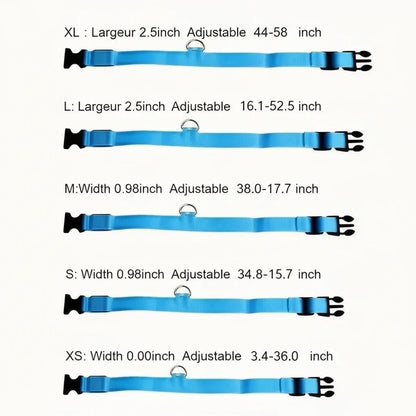 Collier lumineux pour chien